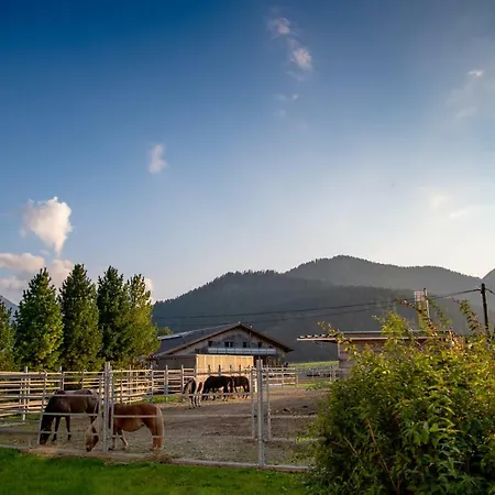 Reiterhof Berggut Gaicht Gæstehus Nesselwängle
