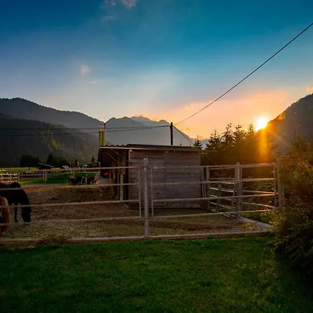 Reiterhof Berggut Gaicht 4* Nesselwängle